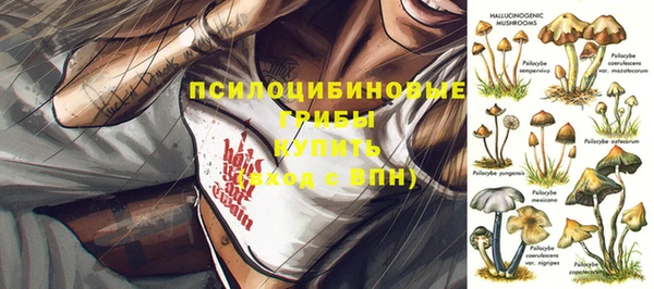 ПСИЛОЦИБИНОВЫЕ ГРИБЫ Нягань