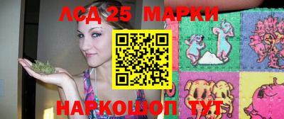 гидропоника Краснодар