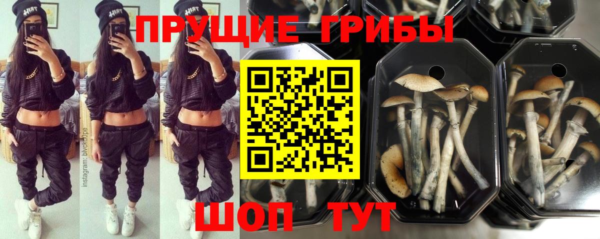 МЕТАМФЕТАМИН Сальск