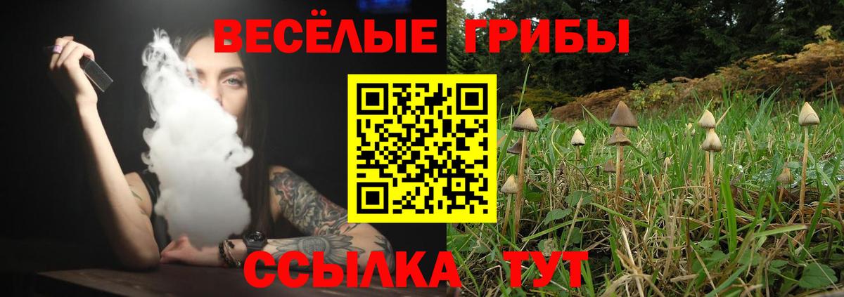 Галлюциногенные грибы ЛСД  Галлюциногенные грибы Magic Shrooms  Вход с VPN  купить закладку  Сальск 